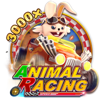 Animal Racing
