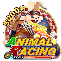 ANIMAL RACING