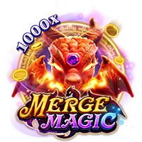 MERGE MAGIC
