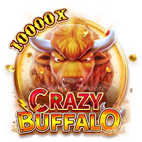 CRAZY BUFFALO