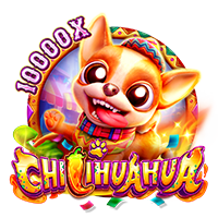 CHILIHUAHUA