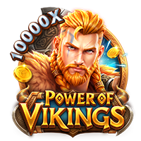 POWER OF VIKINGS